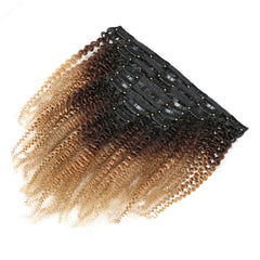 Clip in Human Hair Extensions - Ombre Style - Natural Human Hair