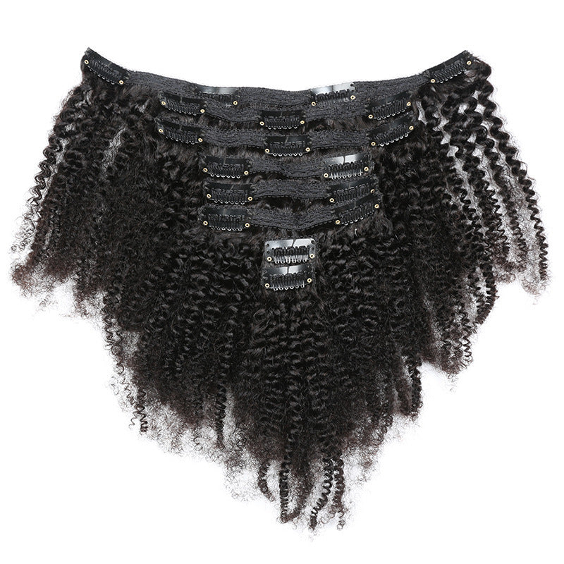 Clip in Human Hair Extensions - Ombre Style - Natural Human Hair