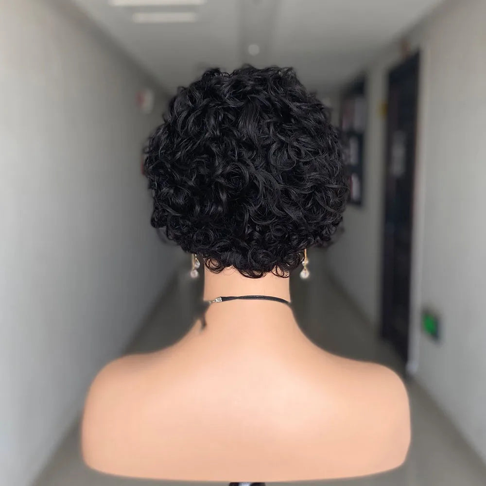 Short Curly Pixie Wig – Lace Front, Water Wave Human Hair for Women