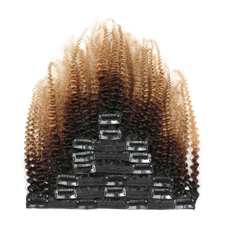 Clip in Human Hair Extensions - Ombre Style - Natural Human Hair
